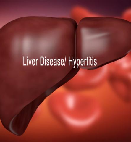 Liver